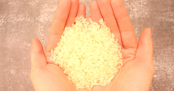 pilavlık pirinç